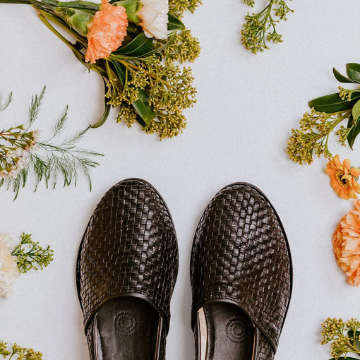 Harmonica Transparency - Harmonica