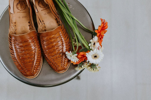 Harmonica Transparency - Harmonica