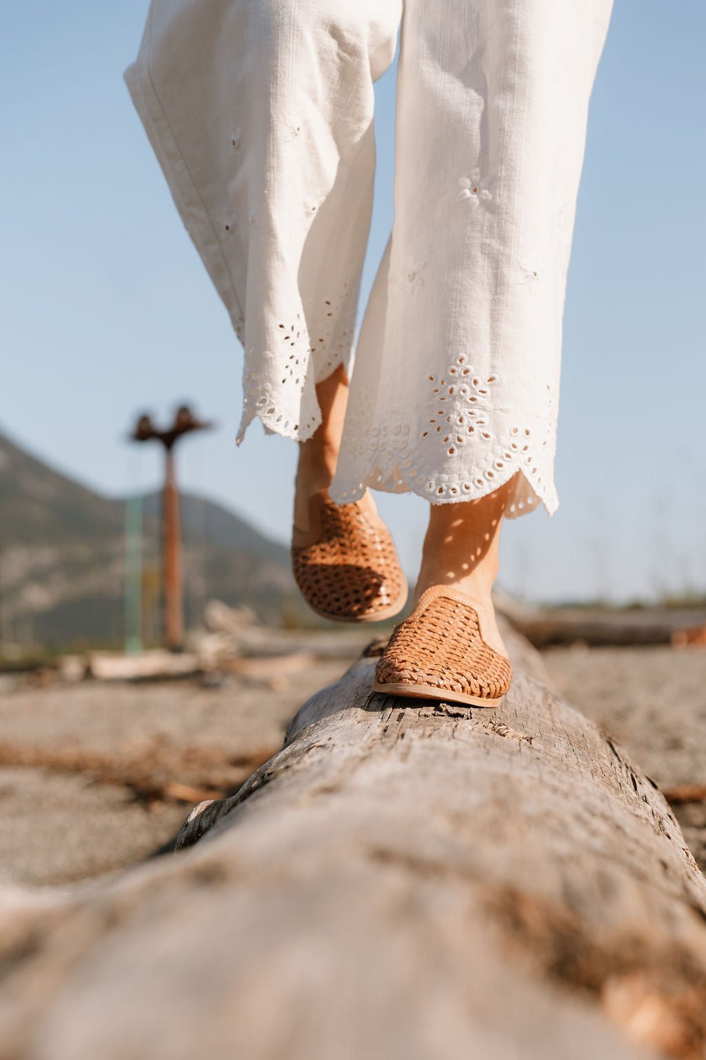 PREORDER 2026 - Harmonica