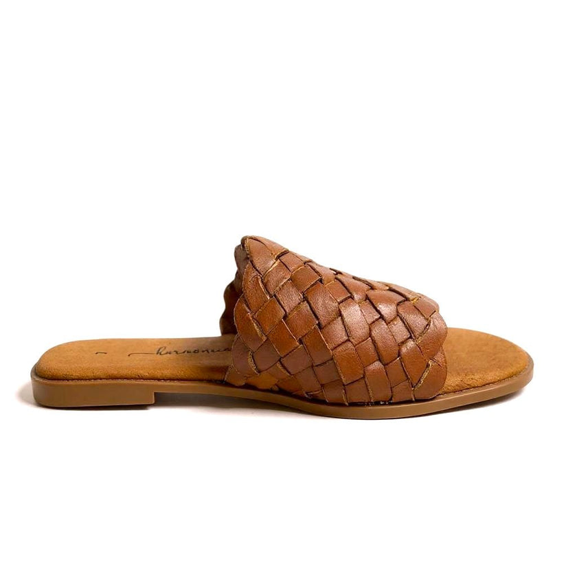 NEW Cancún Slides - Harmonica