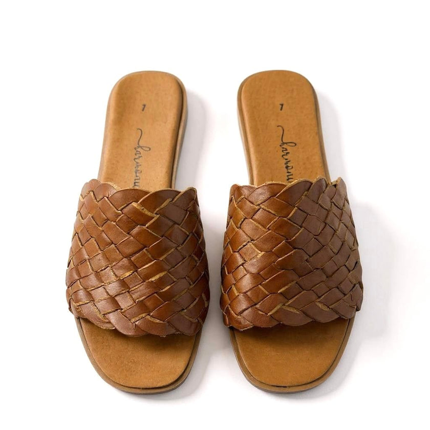 NEW Cancún Slides - Harmonica