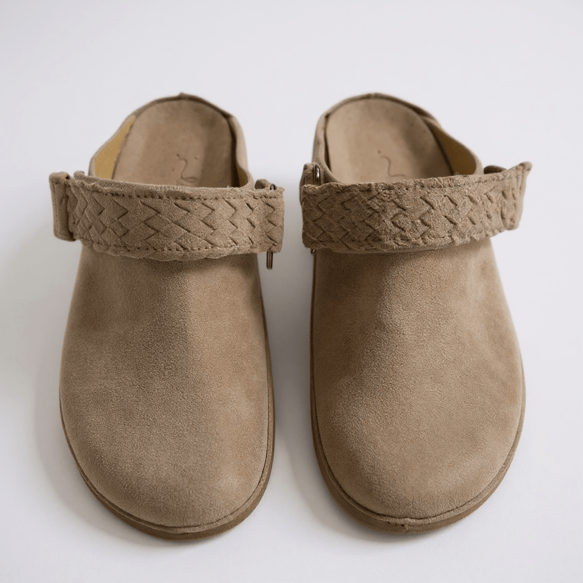 NEW! The Sierra Clogs - Harmonica