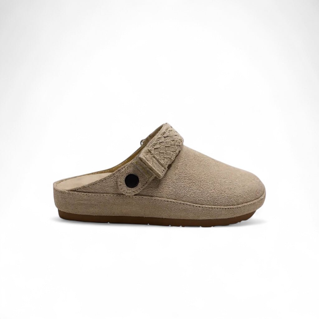 NEW! The Sierra Clogs - Harmonica