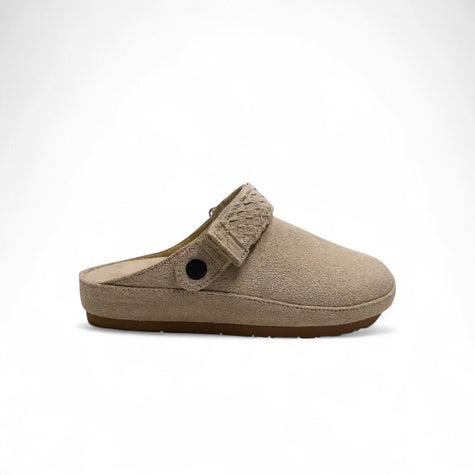 NEW! The Sierra Clogs - Harmonica