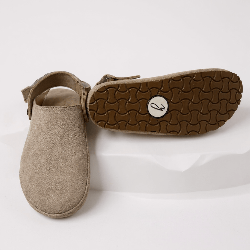 NEW! The Sierra Clogs - Harmonica